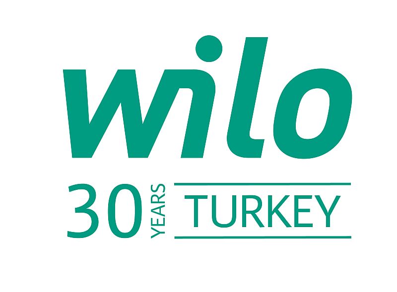 30. yıl