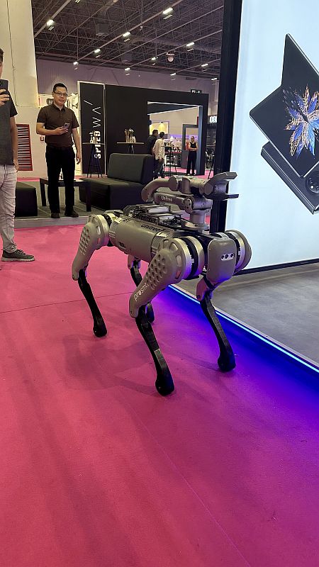 ISAF 2023