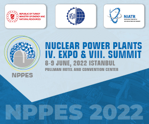 NPPES 2020